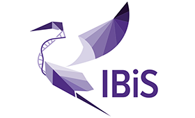 Purple IBiS emblem of bird taking flight